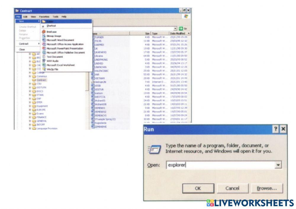 2) Computing support officer