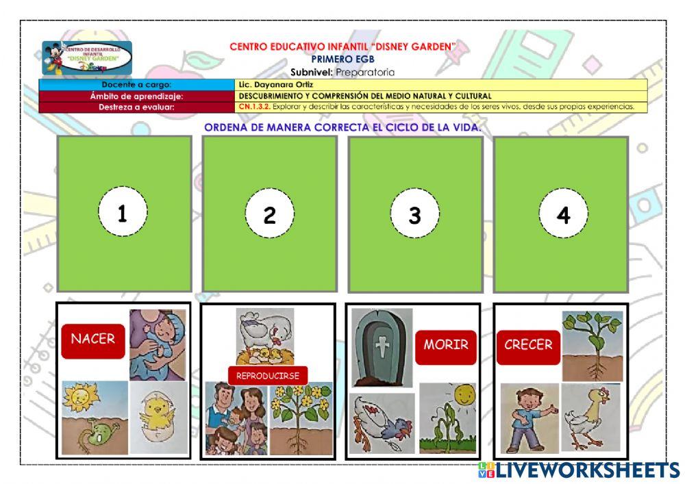 El ciclo de la vida