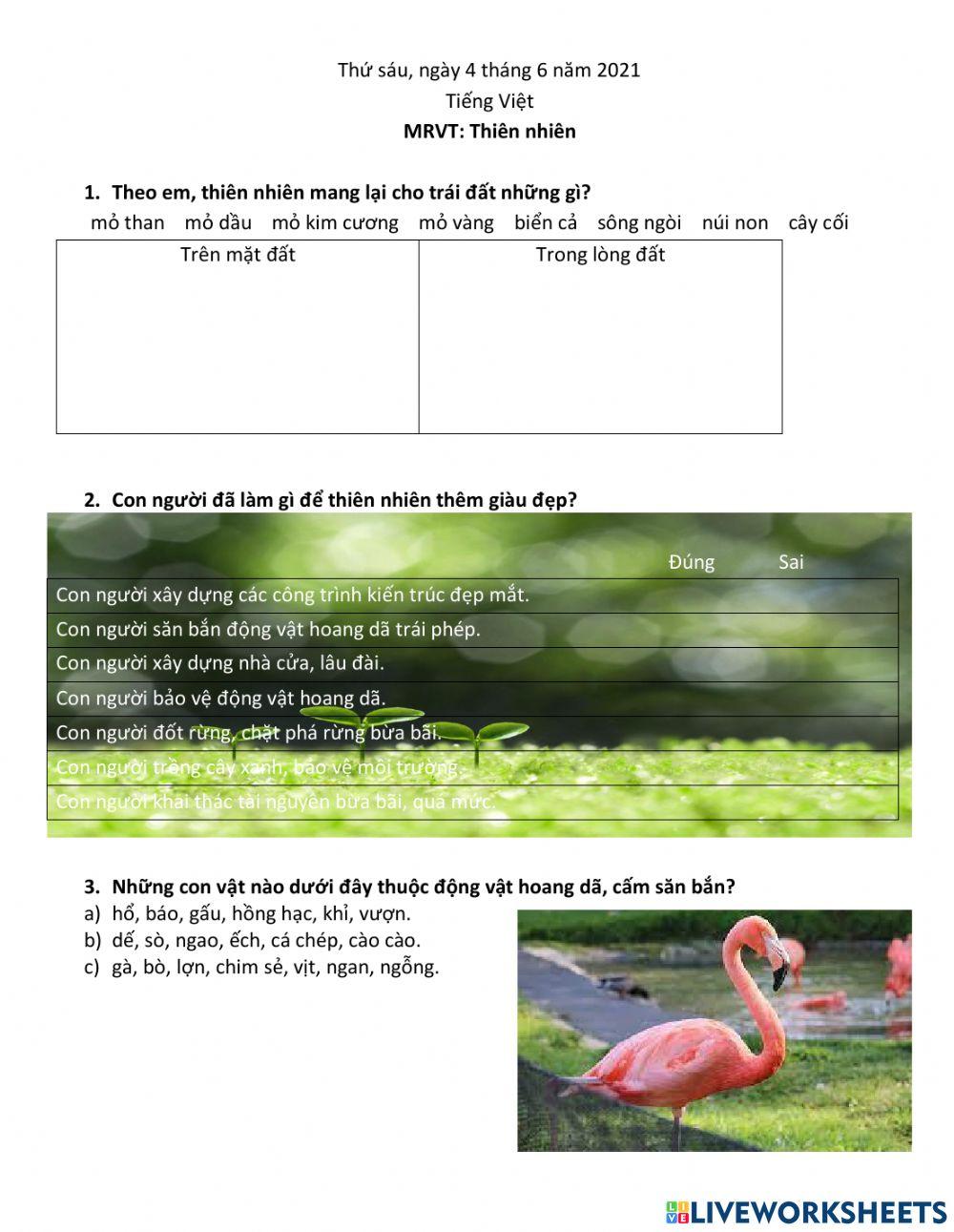 MRVT: Thiên  nhiên