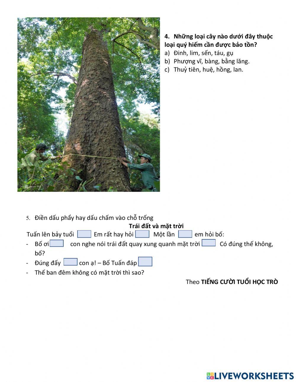 MRVT: Thiên  nhiên