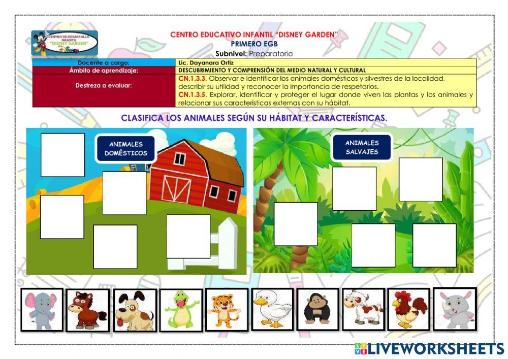 Animales domésticos y salvajes
