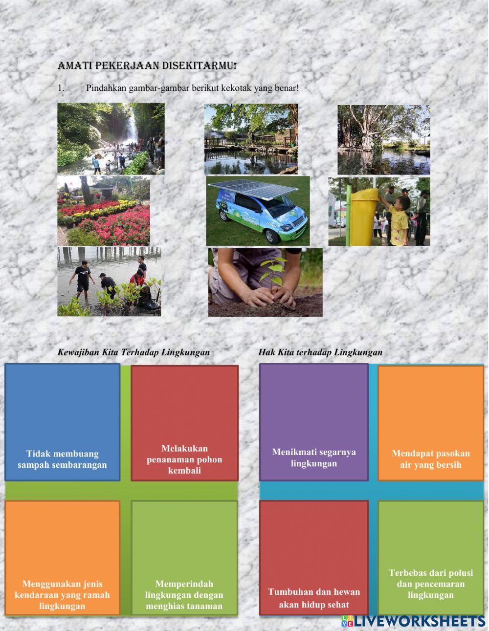 Tema 9 Kayanya Negeriku Subtema 3 Pelestarian Kekayaan Sumber Daya Alam di Indonesia Pembelajaran 2