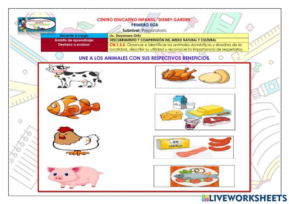 Beneficios de los animales