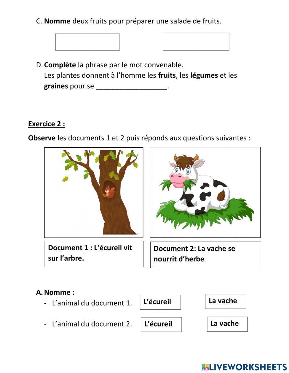 Fiche eb1 l'utilité des plantes