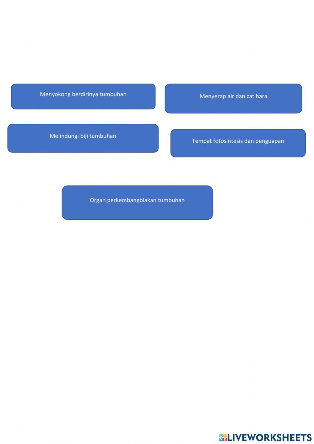 LKPD IPA Kelas 4 Fungsi Bagian Tumbuhan