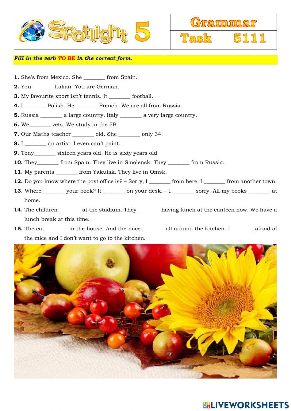 Spotlight 5 Task 5111