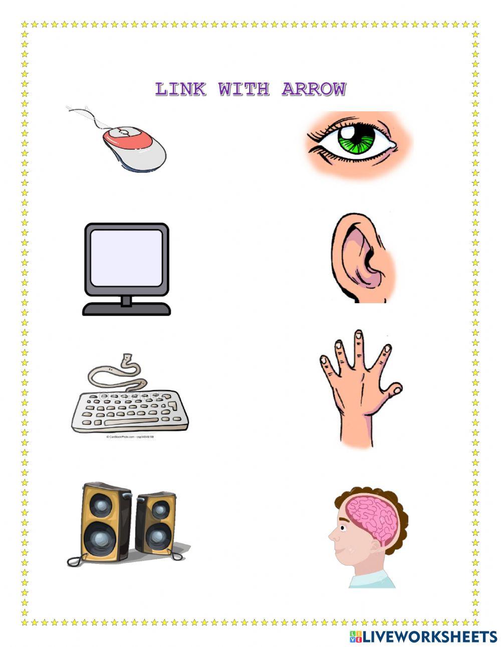 The parts of the computer