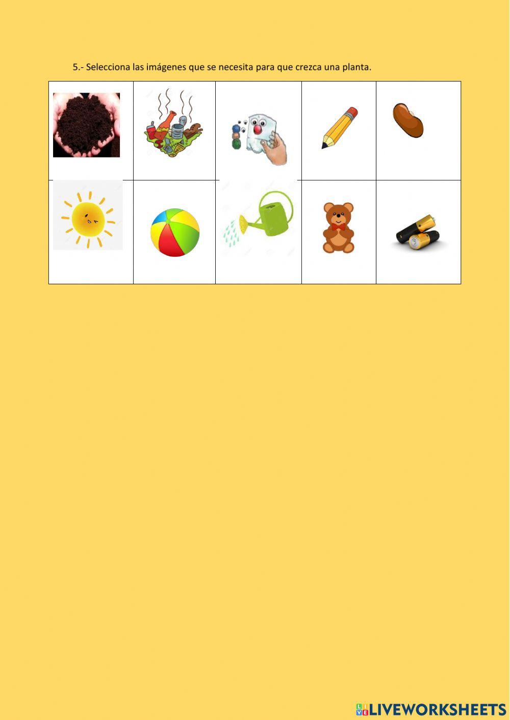 Qué aprendí en esta semana de ¡me cuido, nos cuidamos y a la madre tierra!