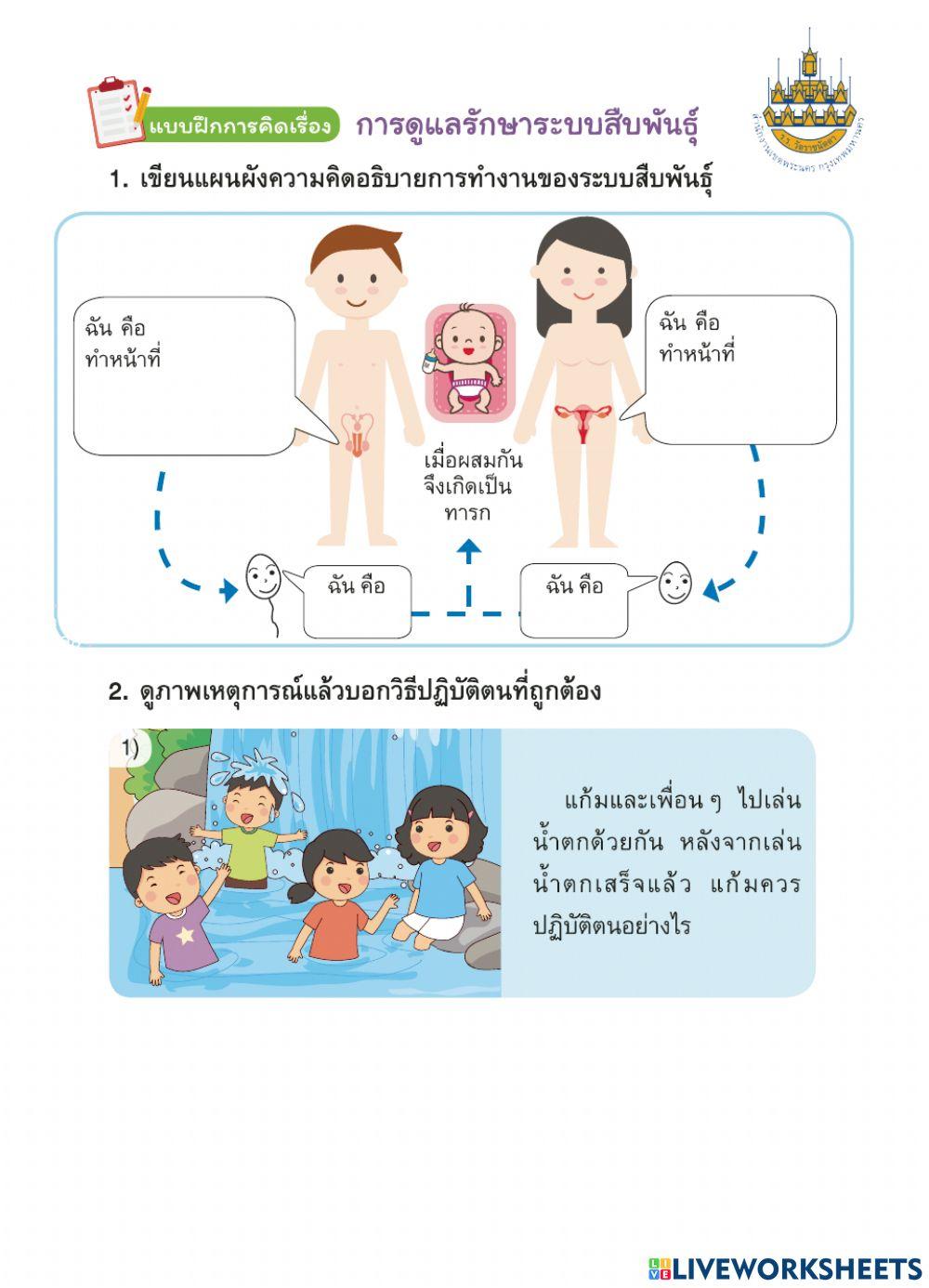 สุขศึกษา ป.6