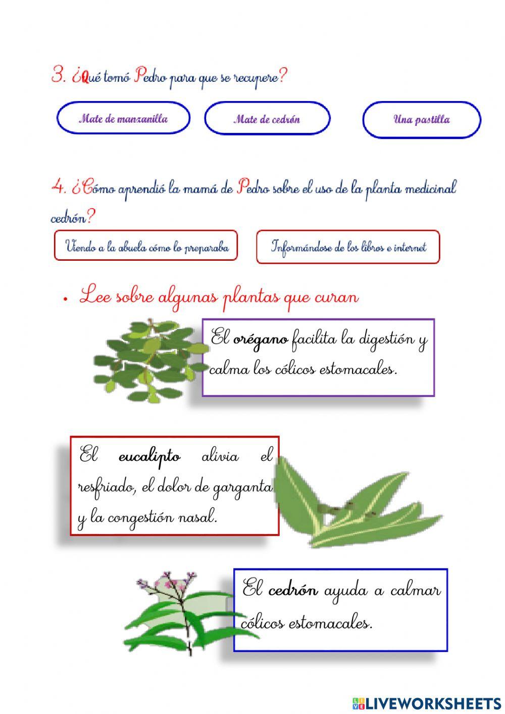 Saberes ancestrales para cuidar la salud