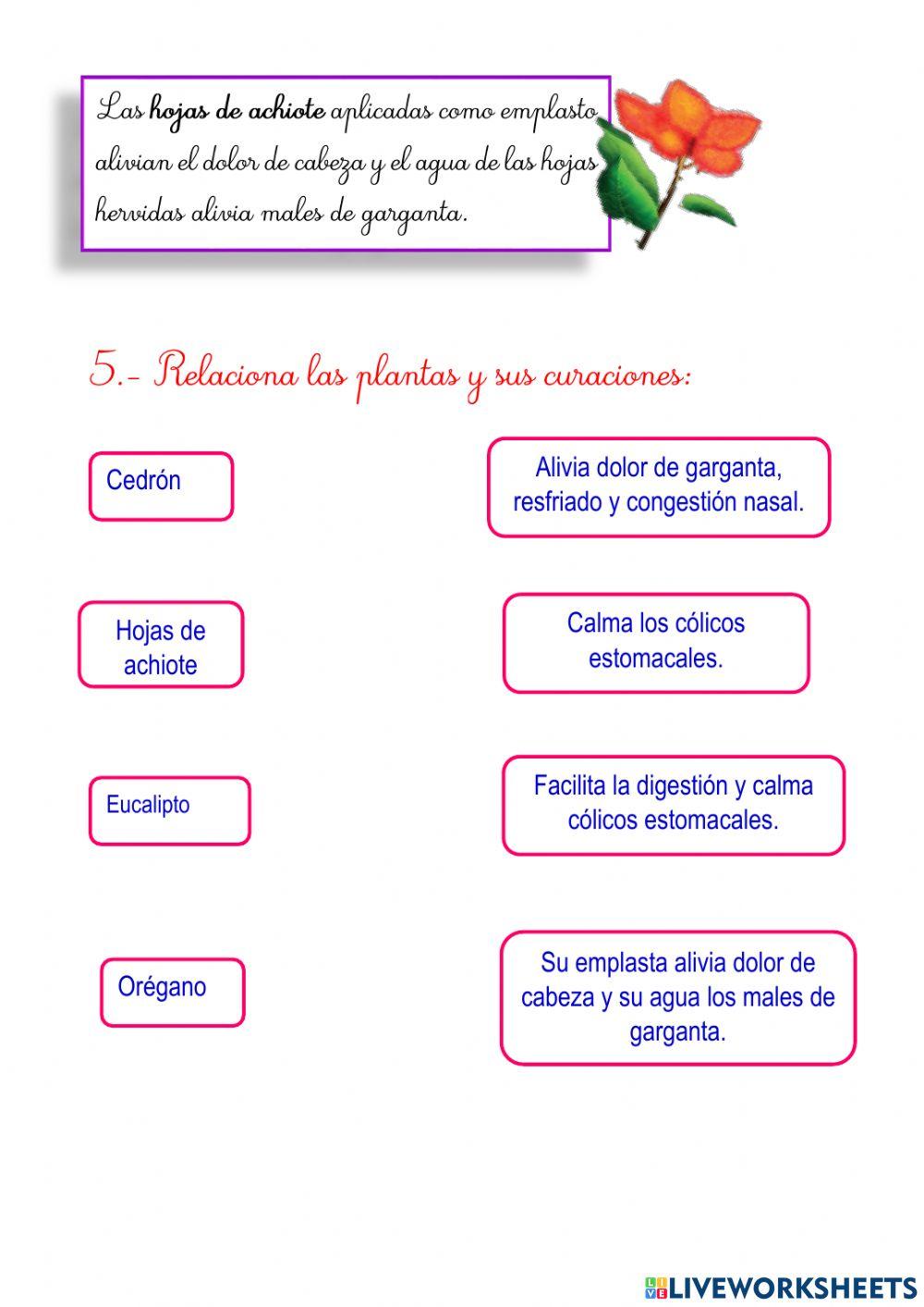 Saberes ancestrales para cuidar la salud