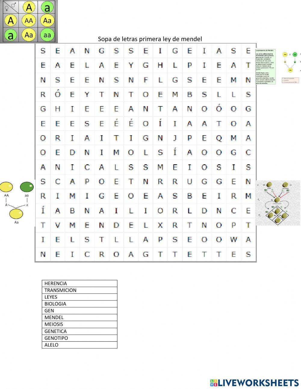Sopa de letras primera ley de mendel