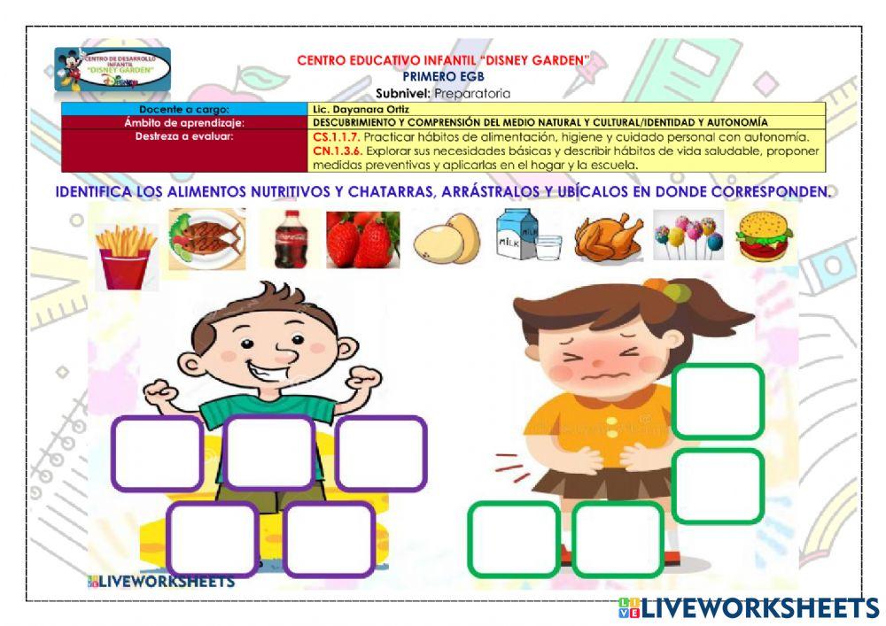 Alimentos saludables y no saludables
