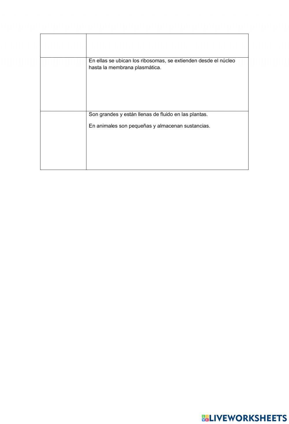 Estructura de la celula