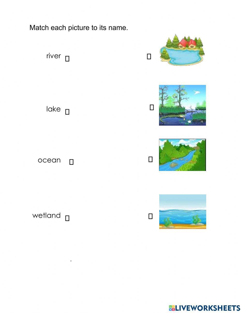 Types of environments worksheet live worksheets 40 off