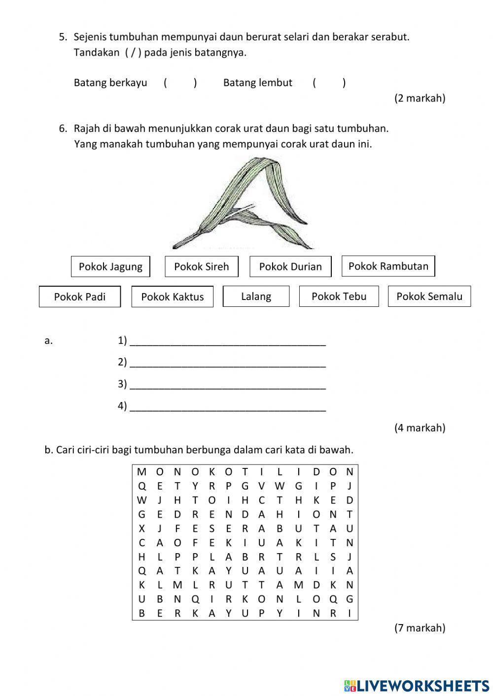 BIODIVERSITI BHAGIAN B