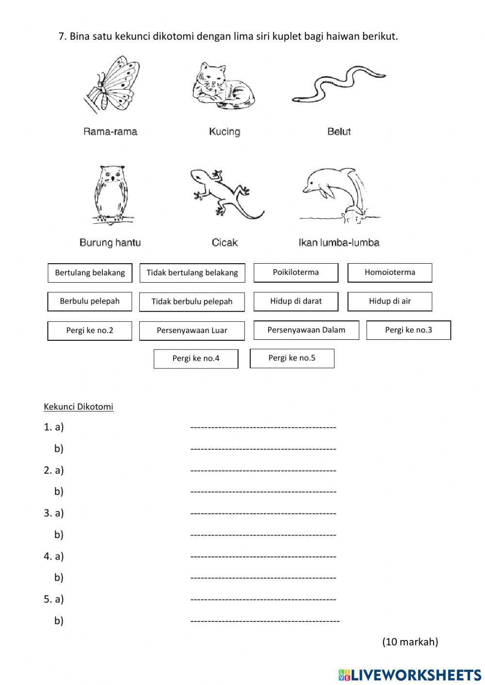 BIODIVERSITI BHAGIAN B
