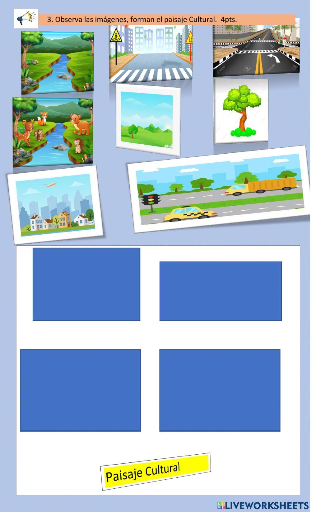 Conocimientos  ciencian sociales generales