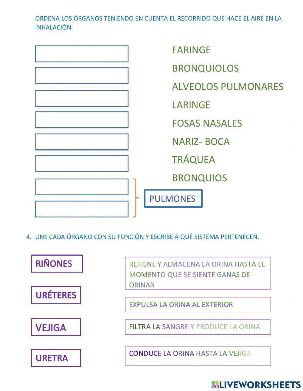 Sistemas de nutrición