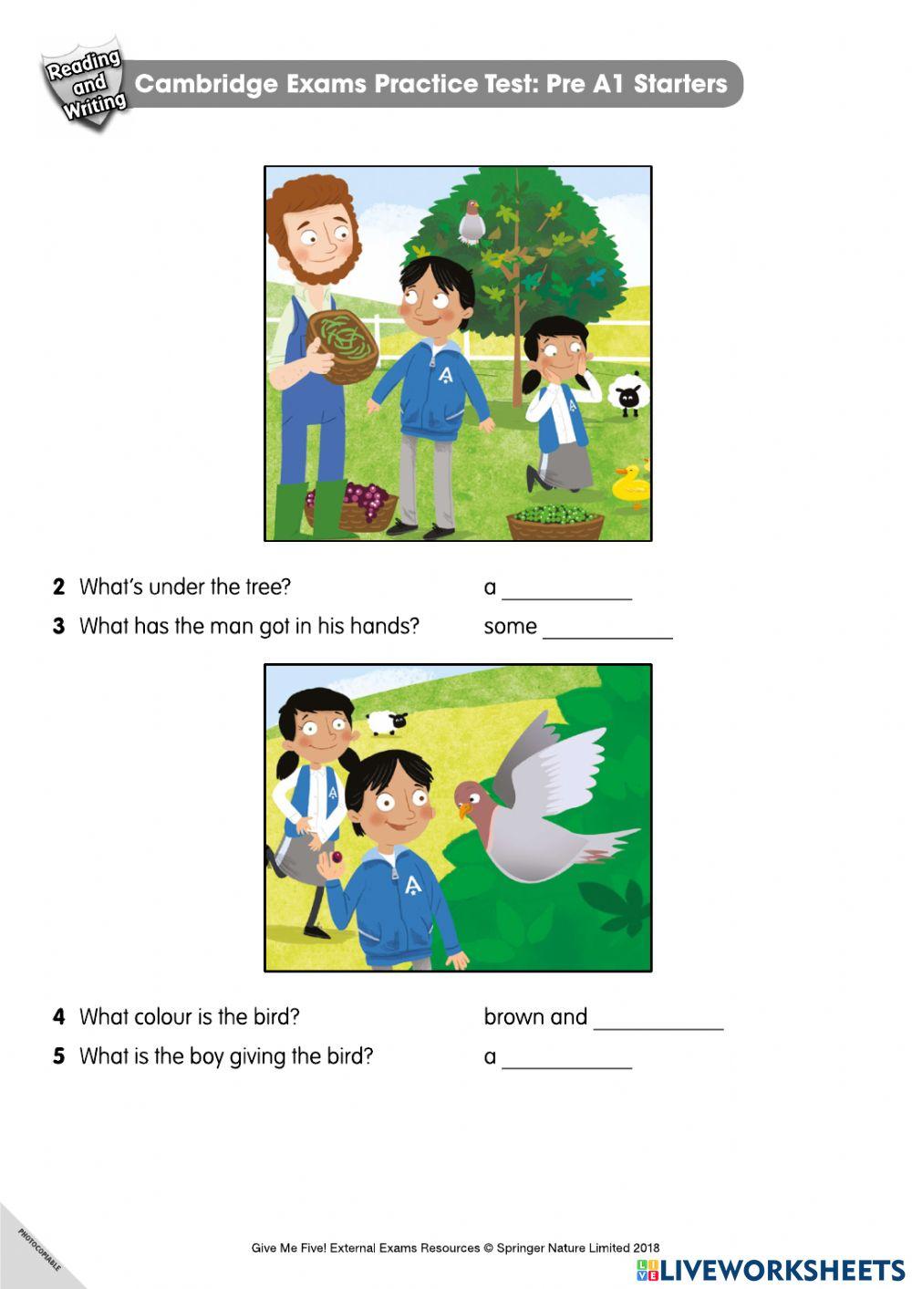 Starters 1 worksheet Live Worksheets