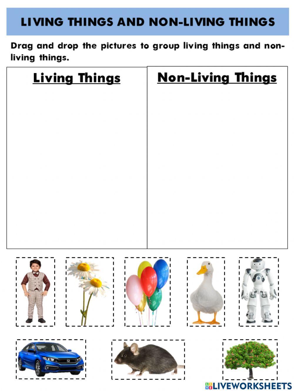 Living things and Non-living things