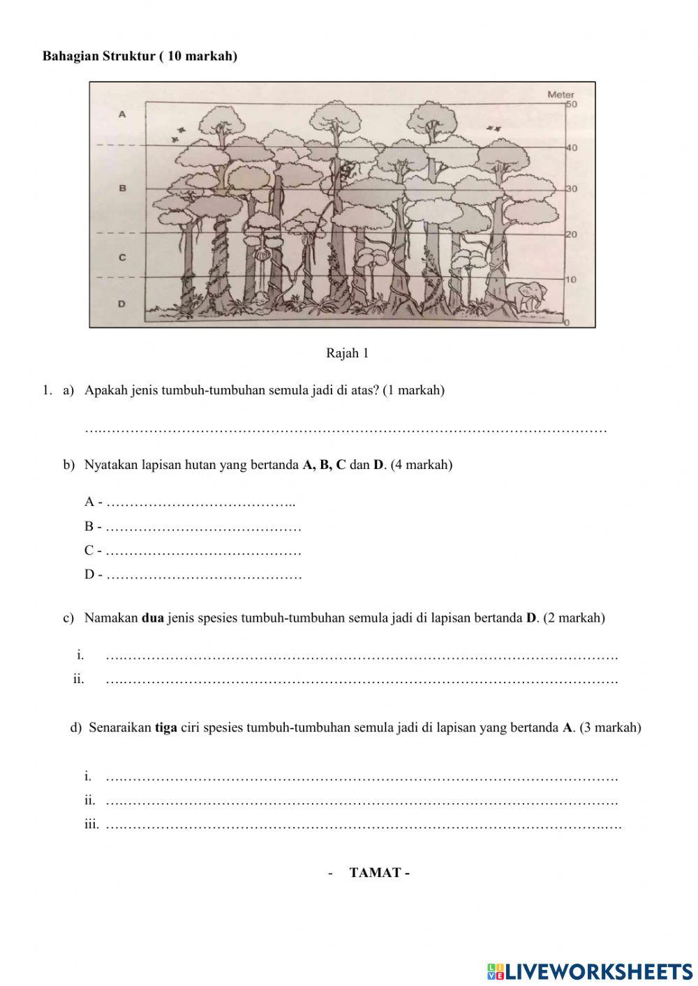 Geografi Tingkatan 3