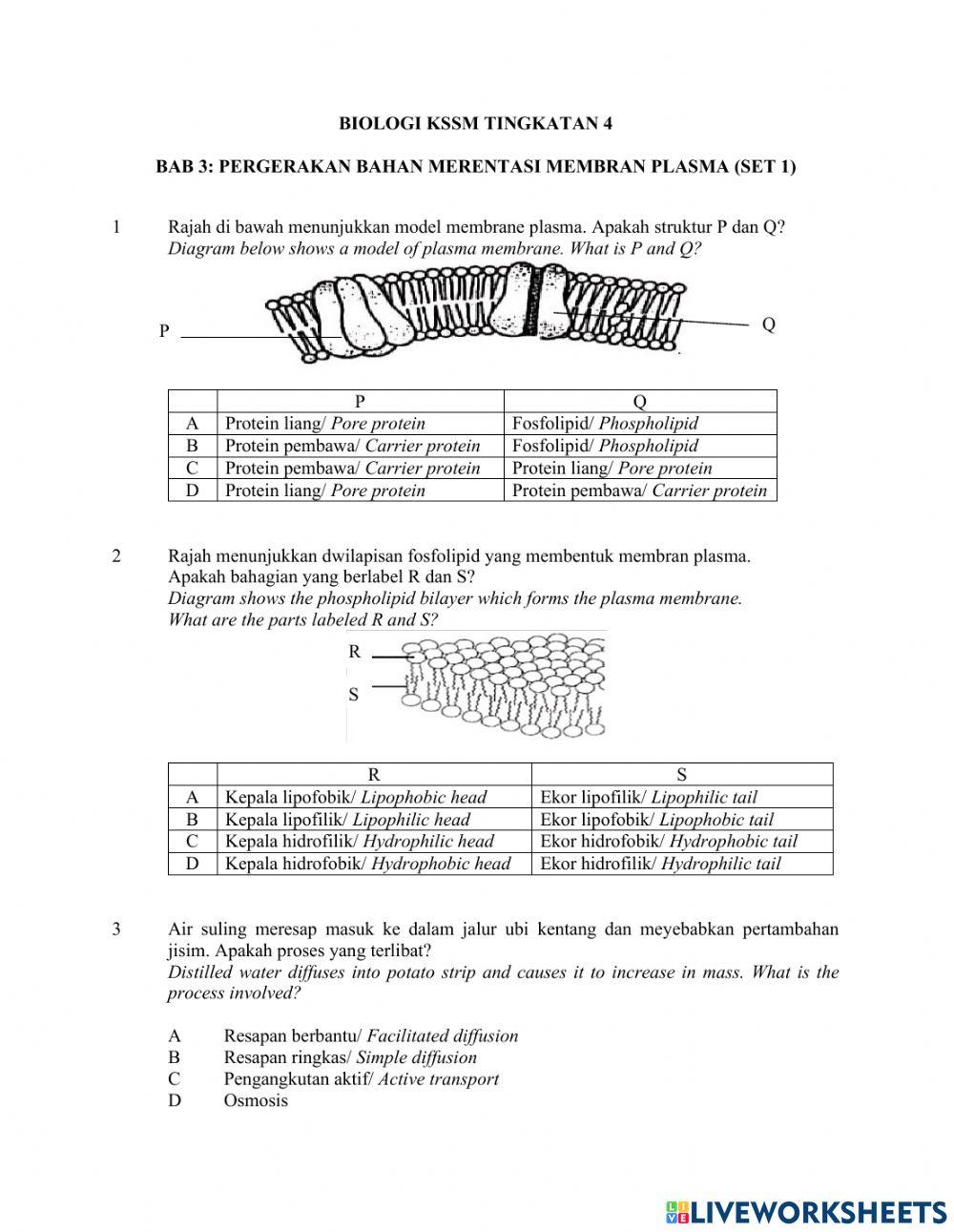 Pergerakan Bahan Merentasi Membran Plasma