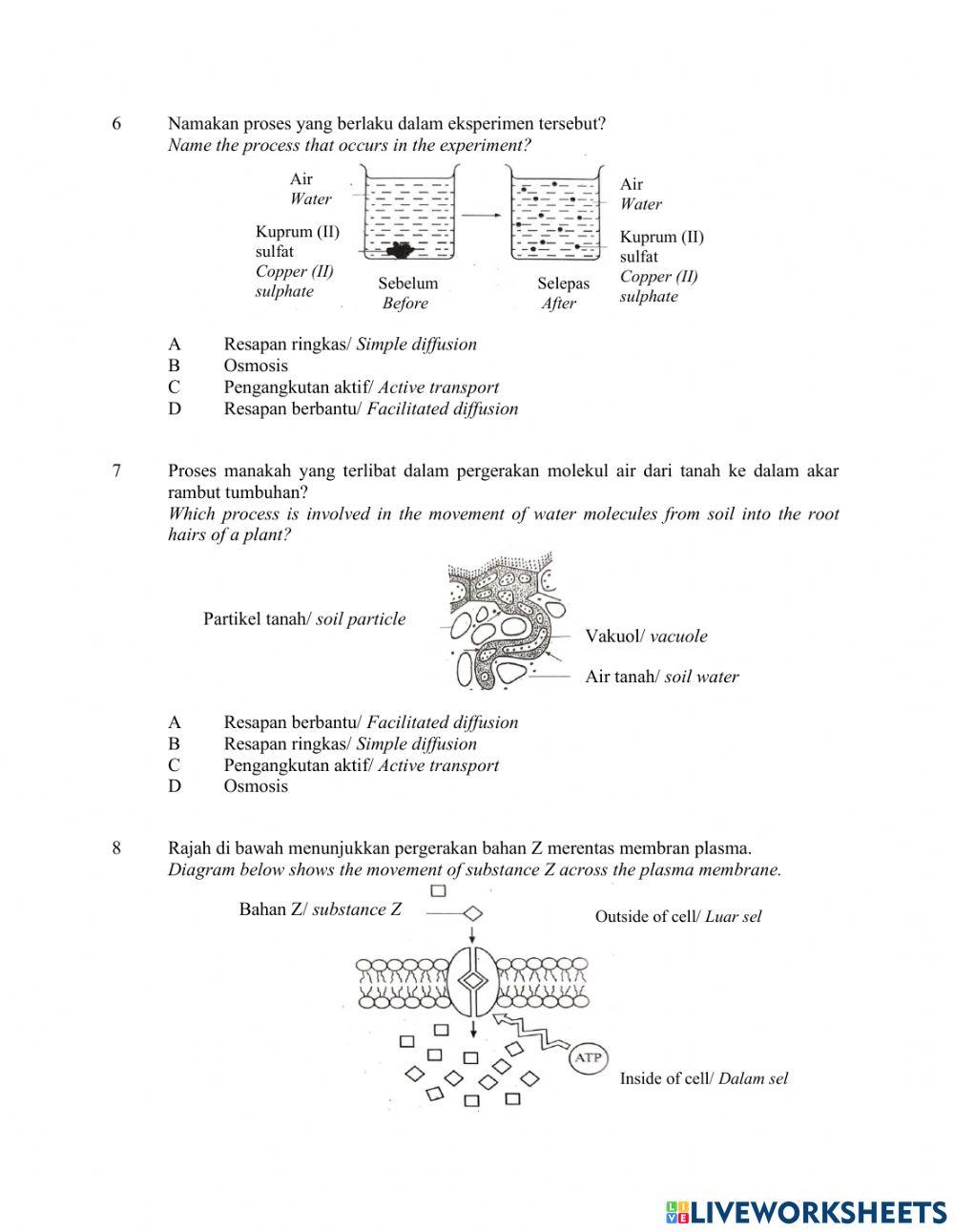 Pergerakan Bahan Merentasi Membran Plasma