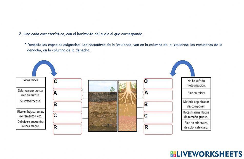 Guía Características del suelo