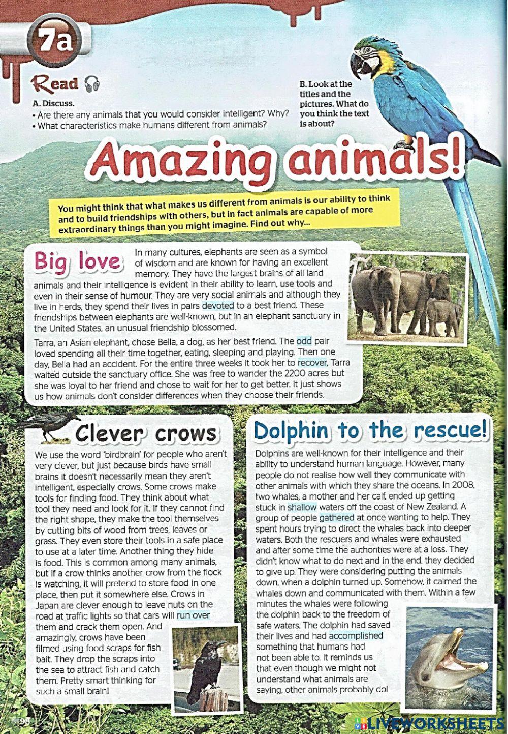 Full Blast Unit 7 (page 98-99: Reading 1)