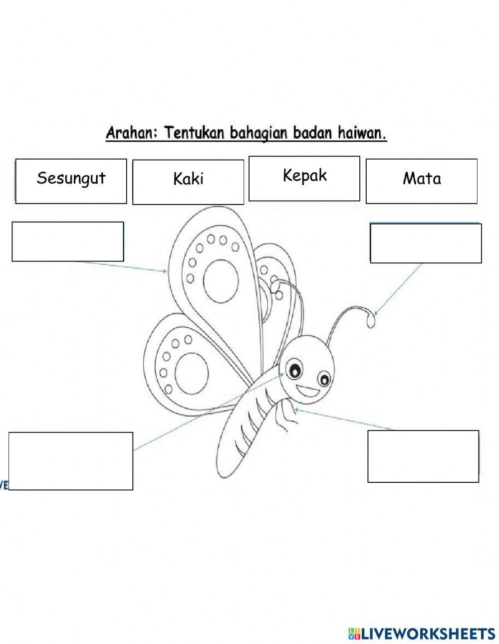 Kitaran hidup rama-rama