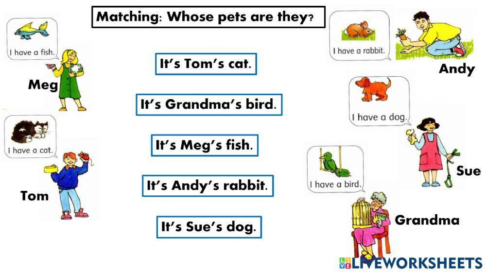 Possessive nouns- Matching: Whose pets are they? Possessive nouns- Matching: Whose pets are they?