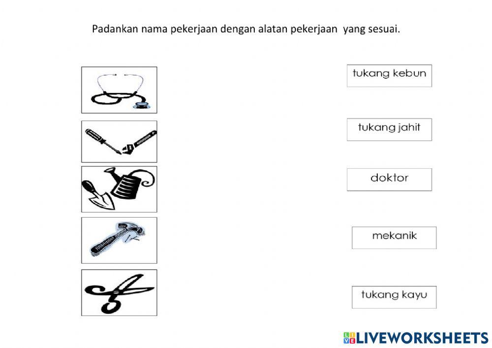 Kerjaya Murid Tahap 1