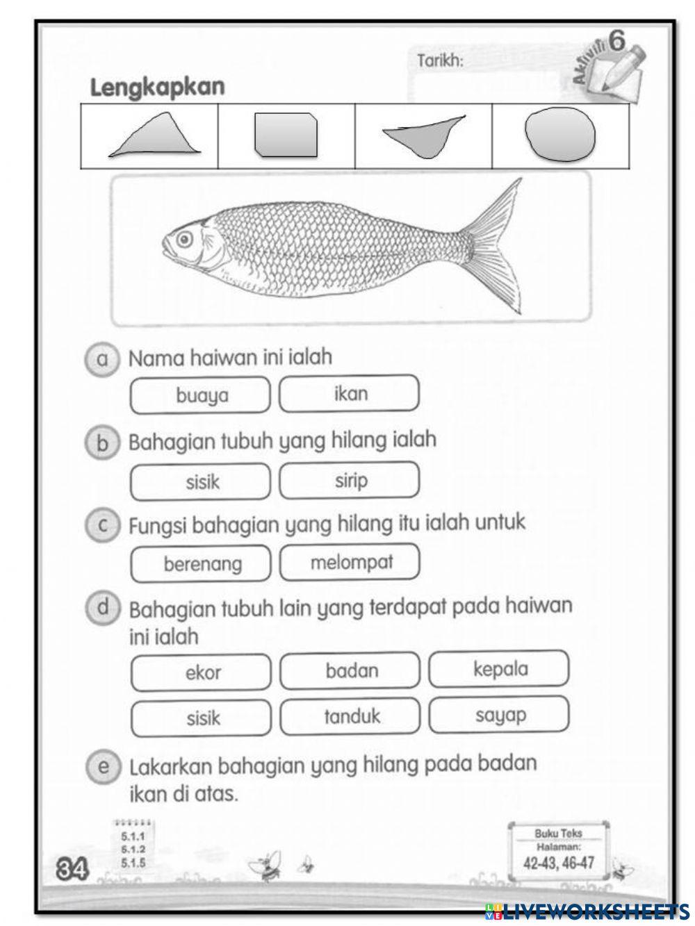 Sains tahun 1 eh! kita serupa