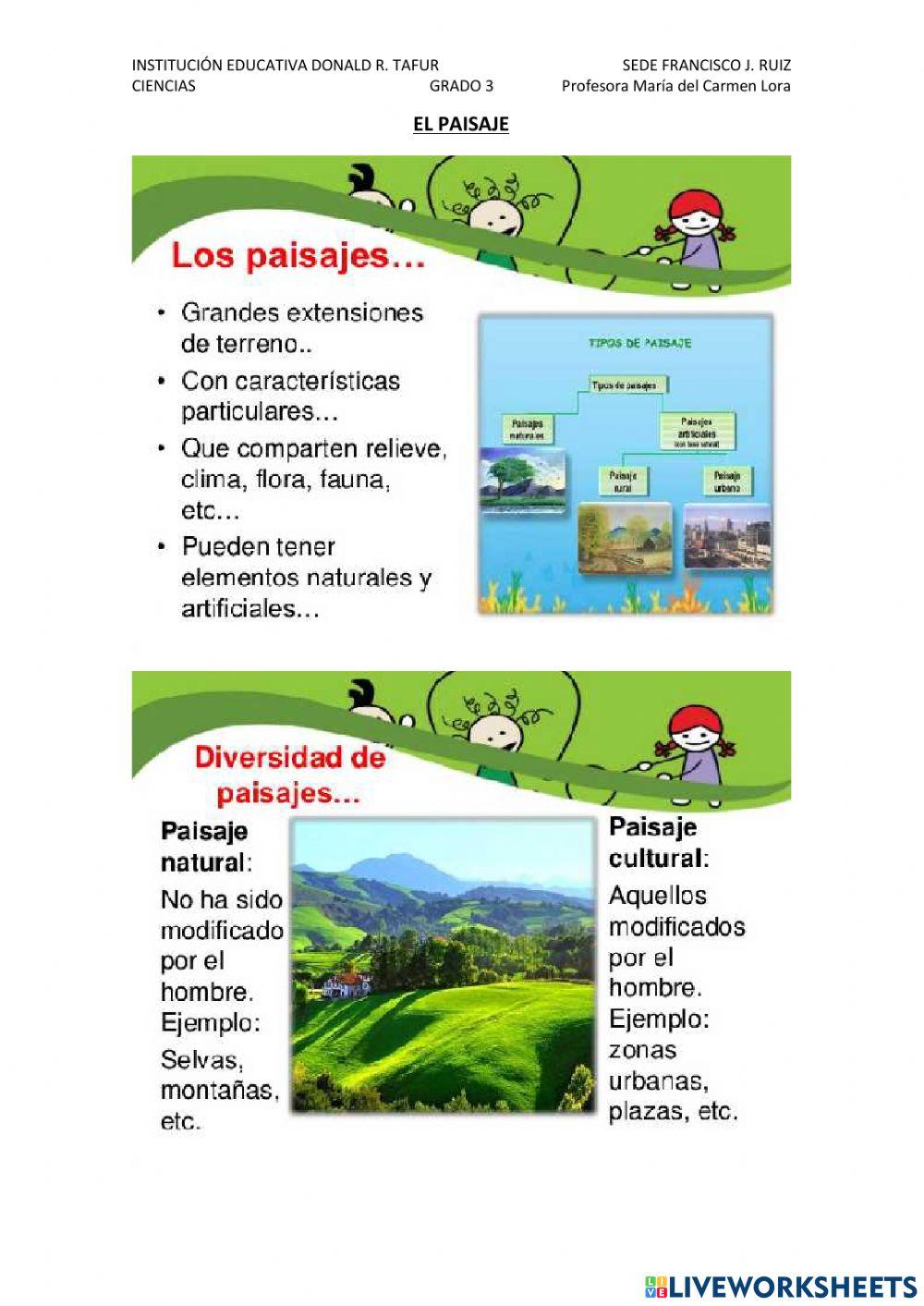 El paisaje