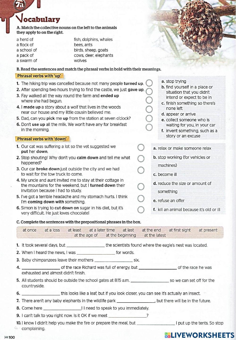 Full Blast Unit 7 (page 100: VOCABULARY 1)