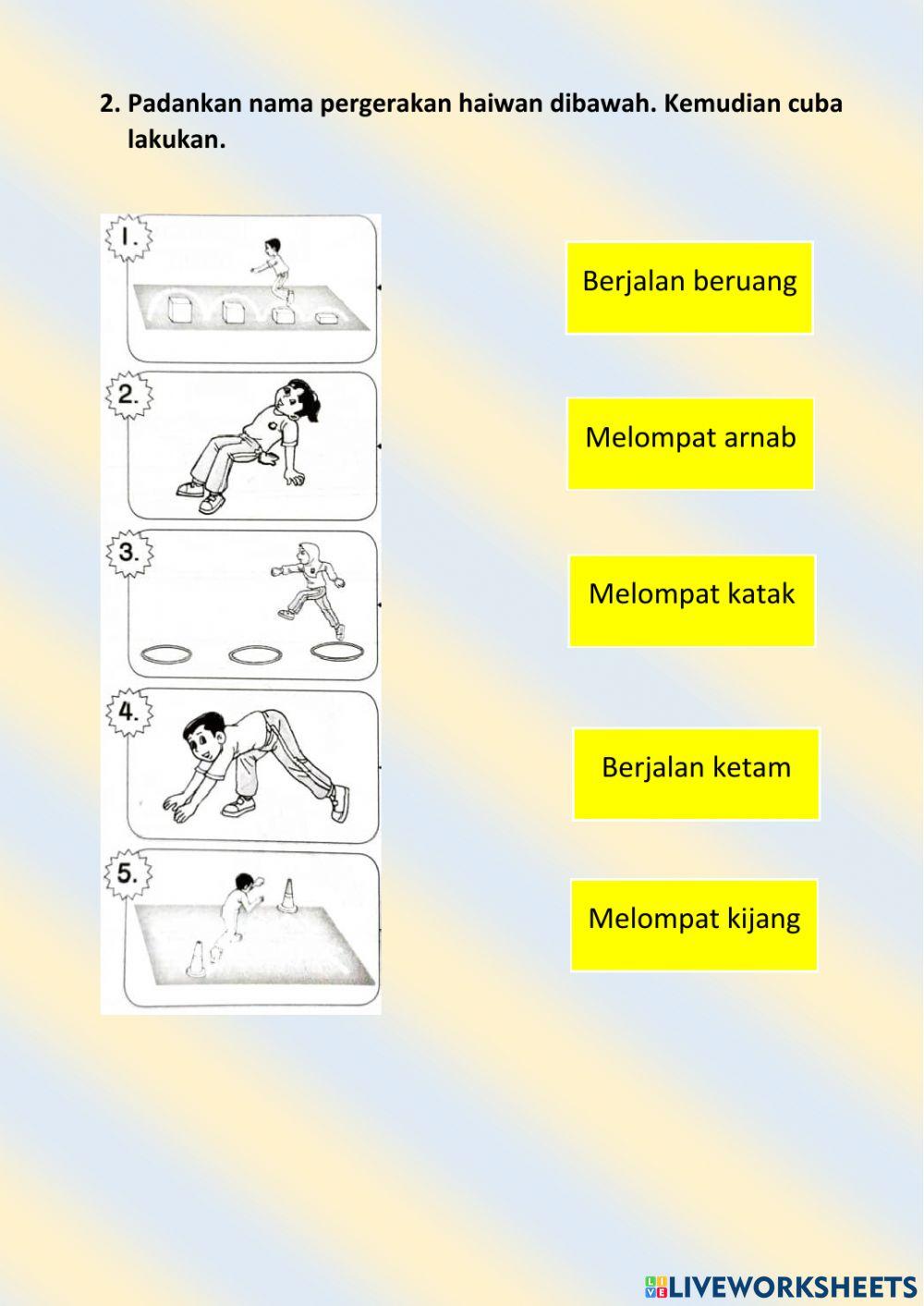 Pergerakan haiwan tahun 1