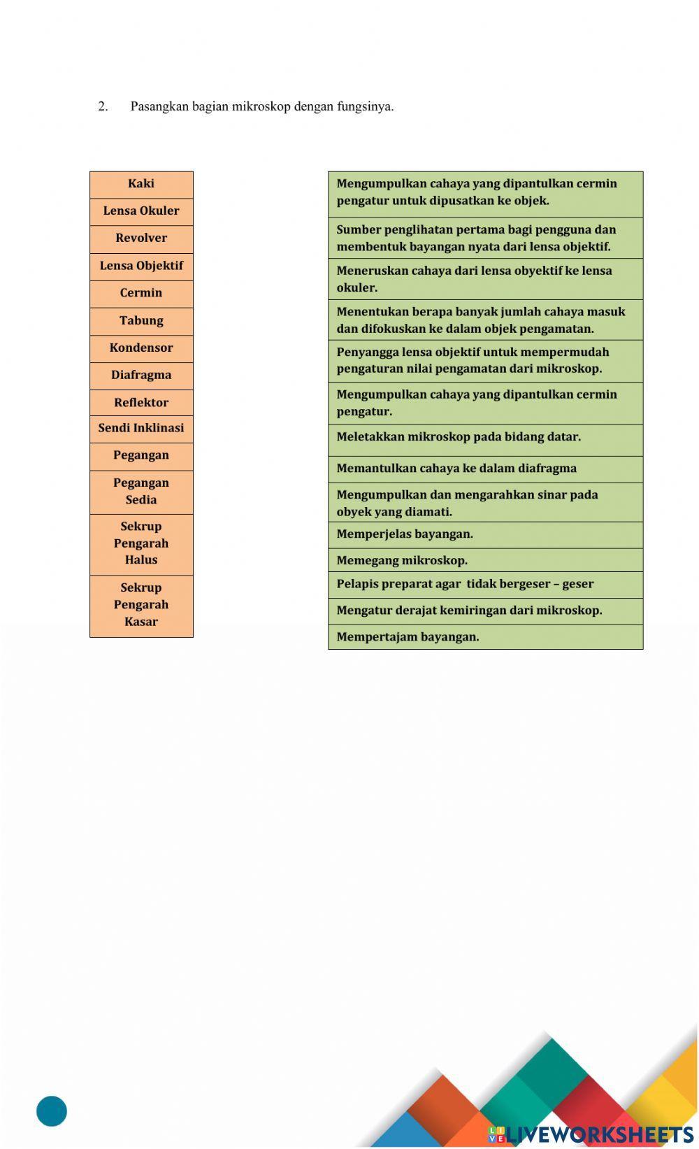 Bagian dan Fungsi Mikroskop