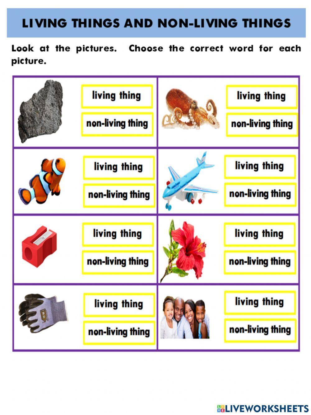 Living things and Non-living things