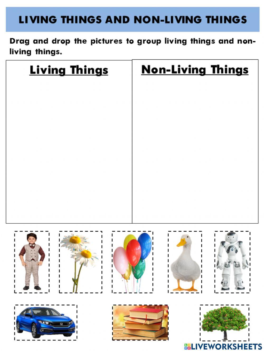 Living things and Non-living things