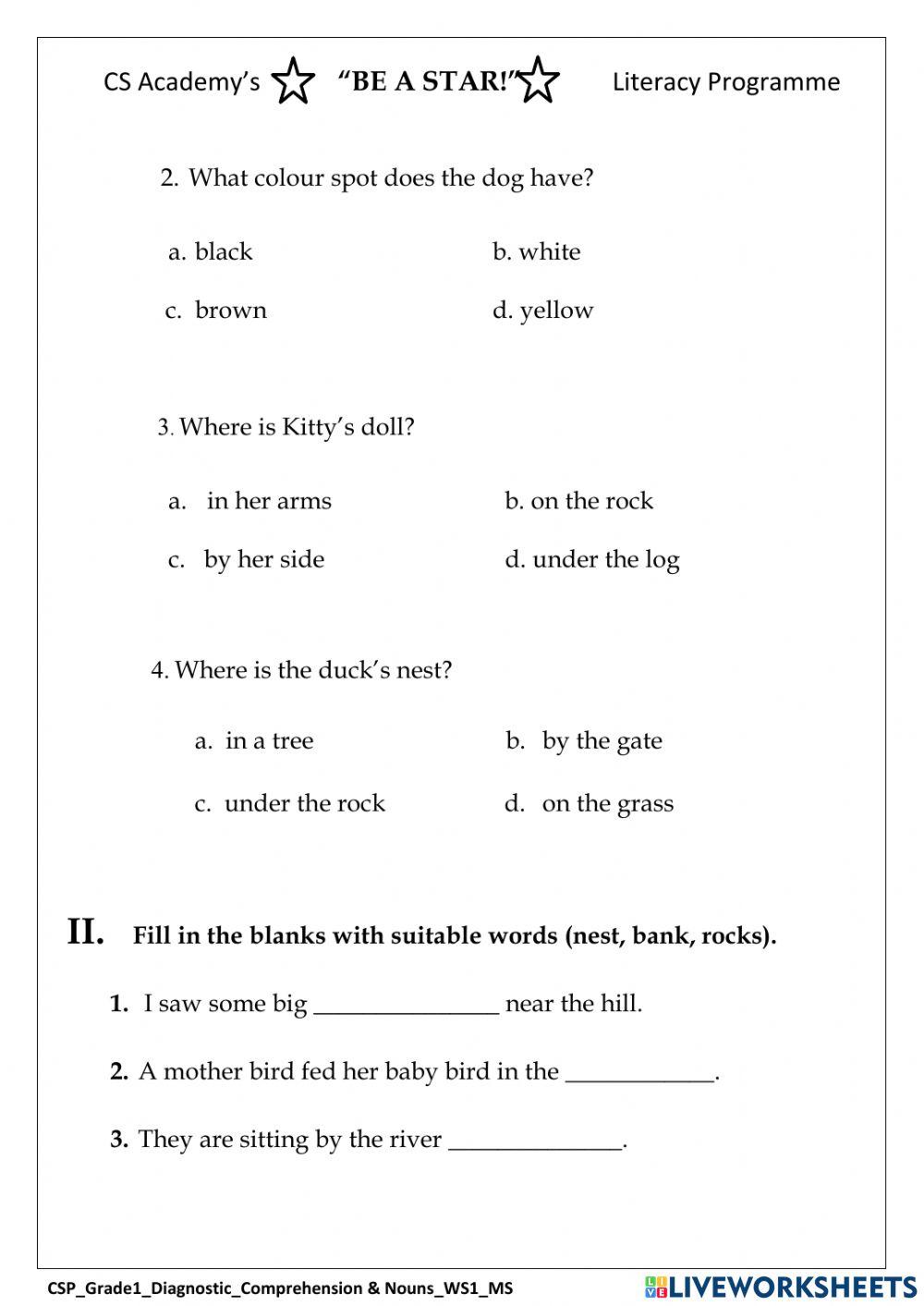 Diagnostic Comprehension & Nouns