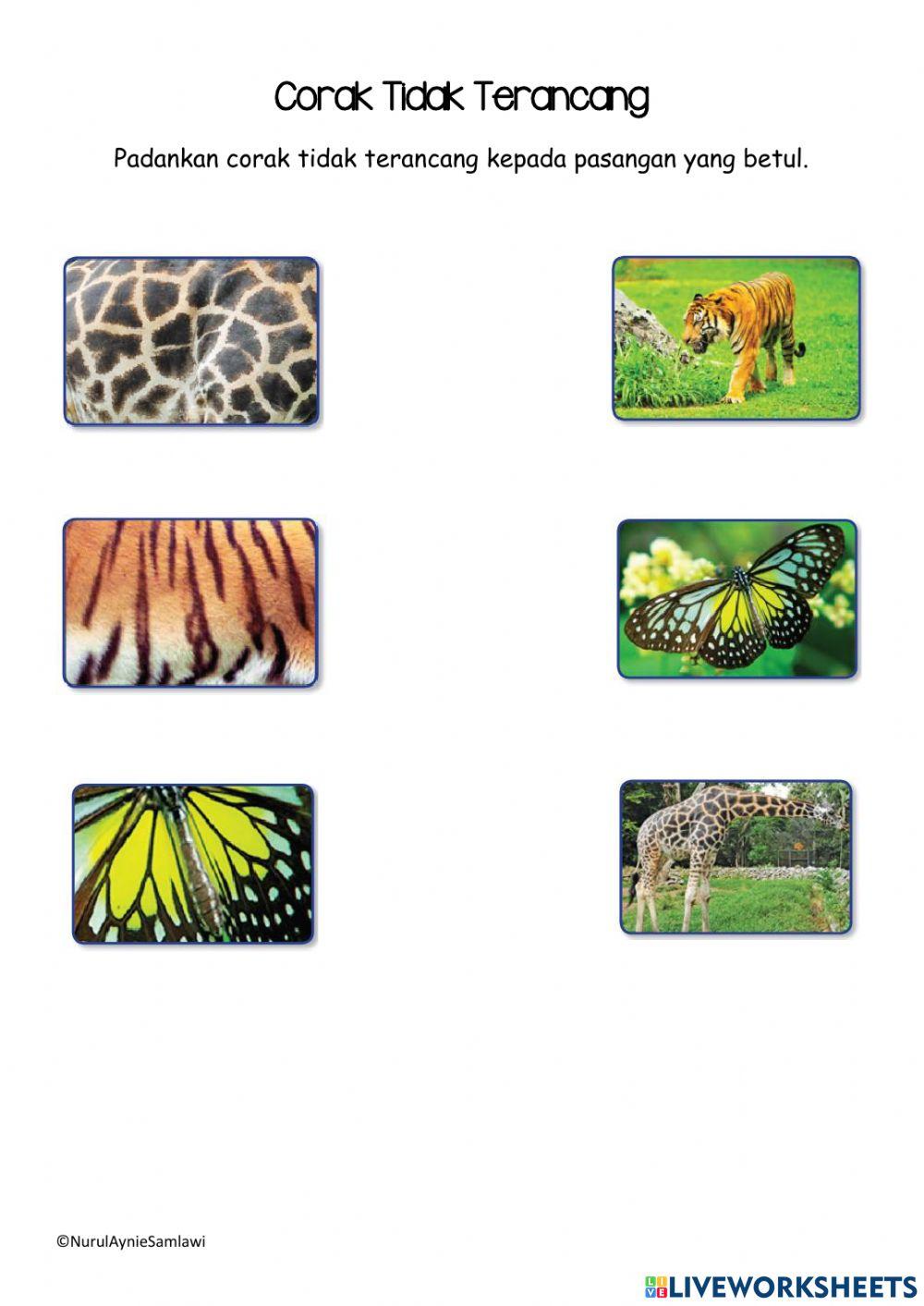 Corak tidak terancang