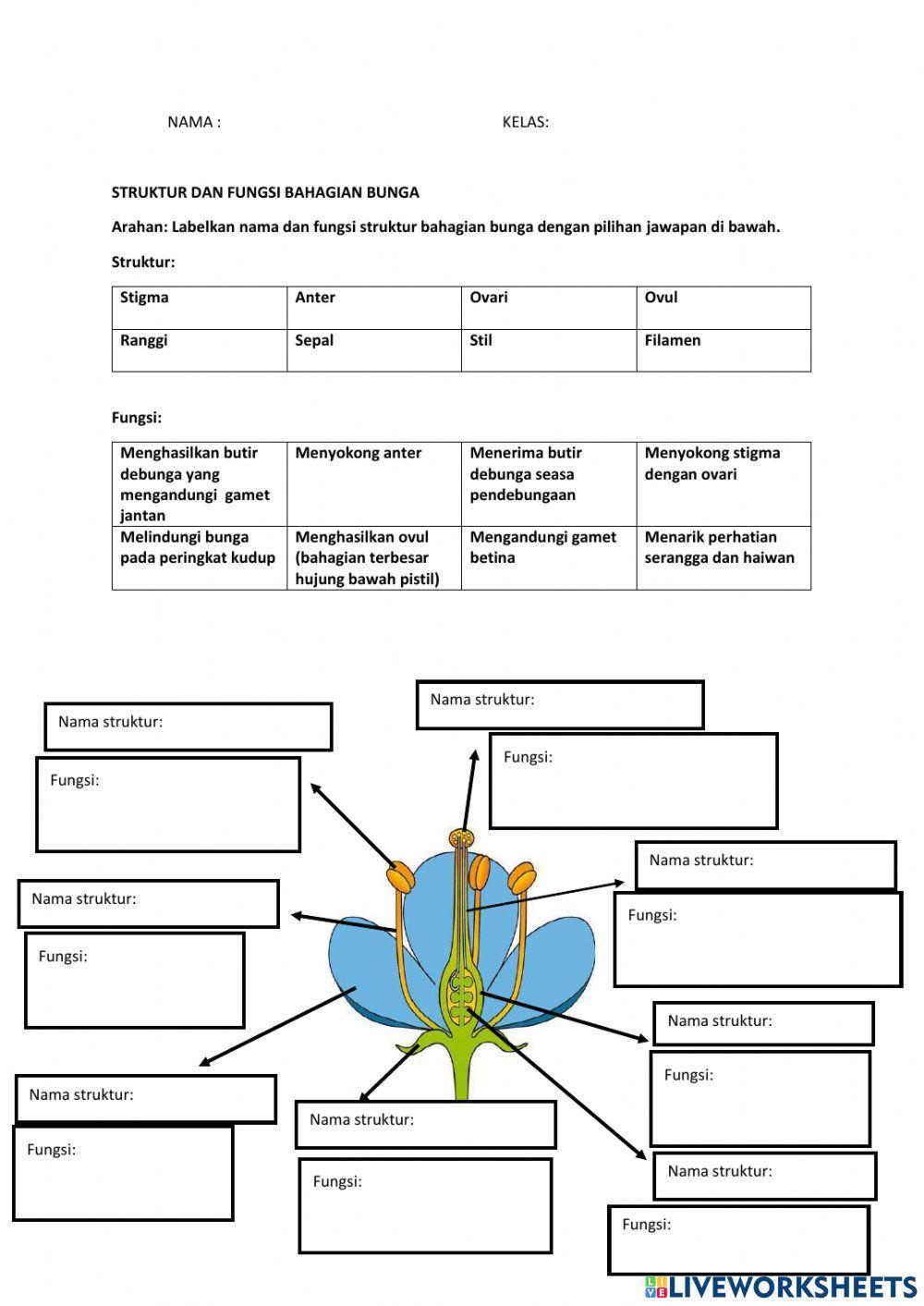 Struktur dan fungsi bunga