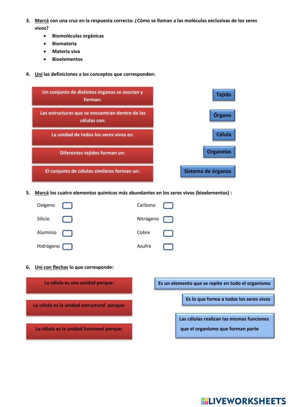 Actividad: características de los seres vivos