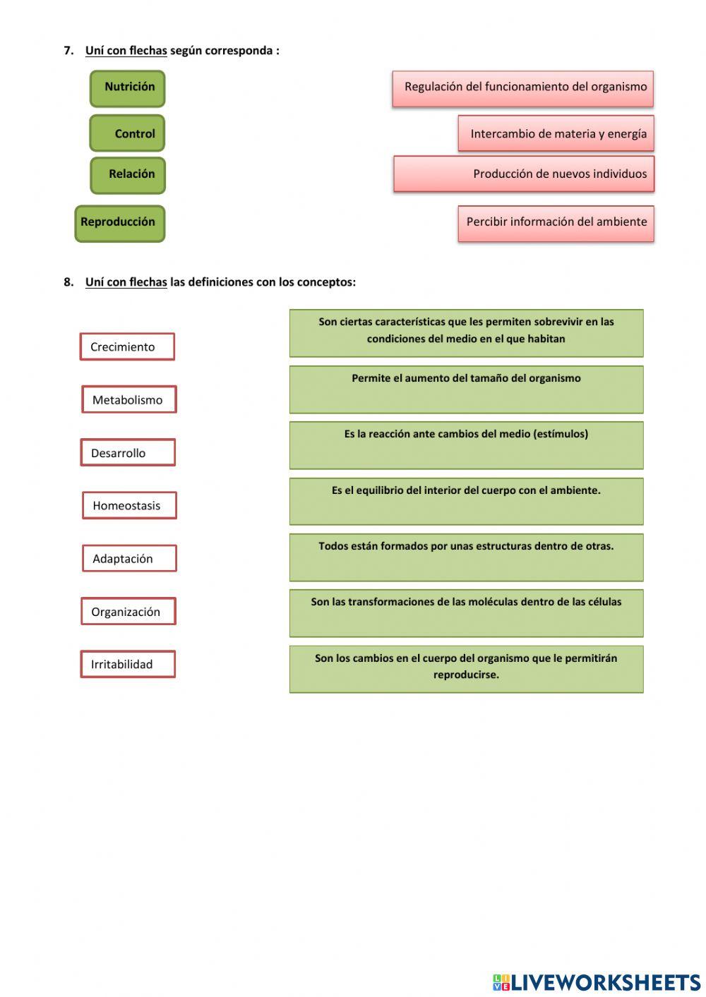 Actividad: características de los seres vivos