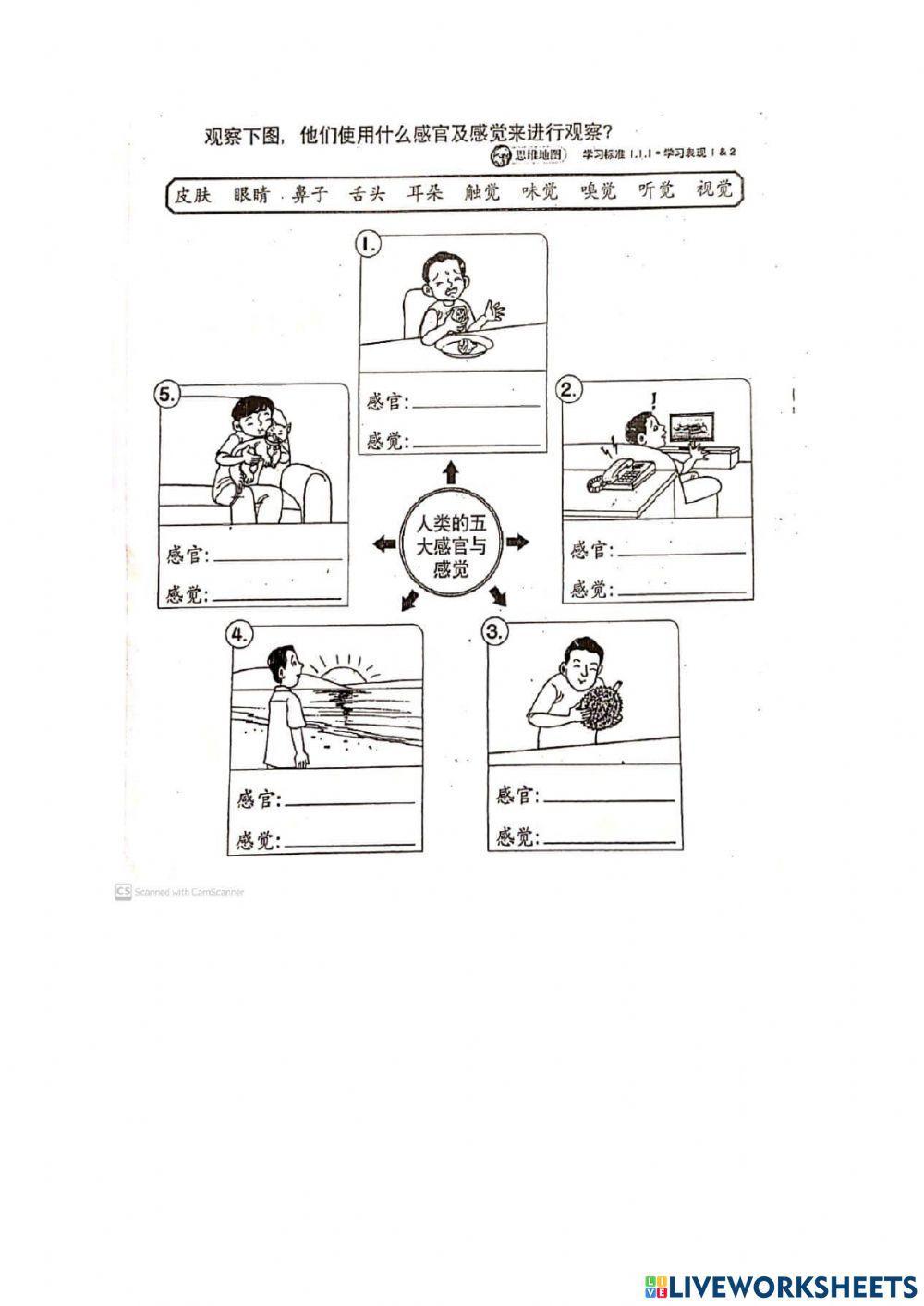 二年级科学上半年评估