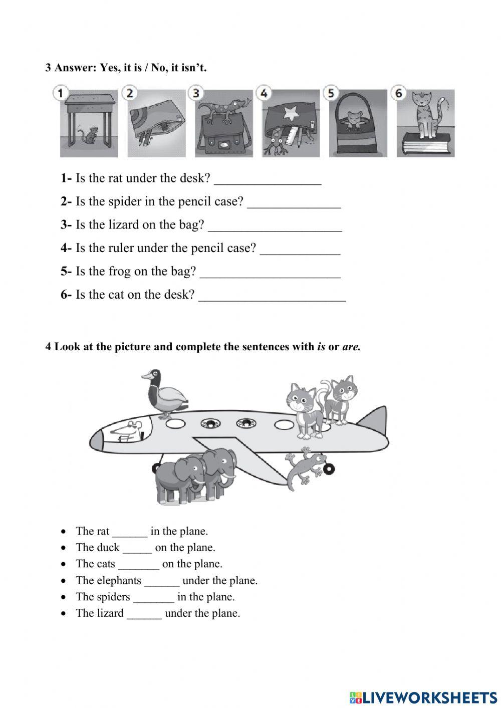 Mid Term Test - 1st Intermediate