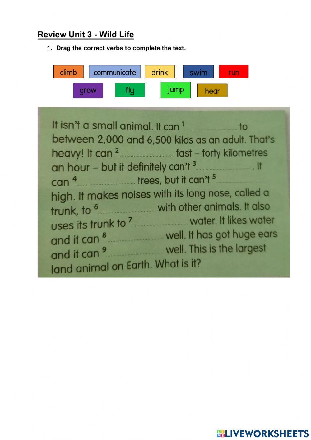 Review Unit 3 -Wild Life