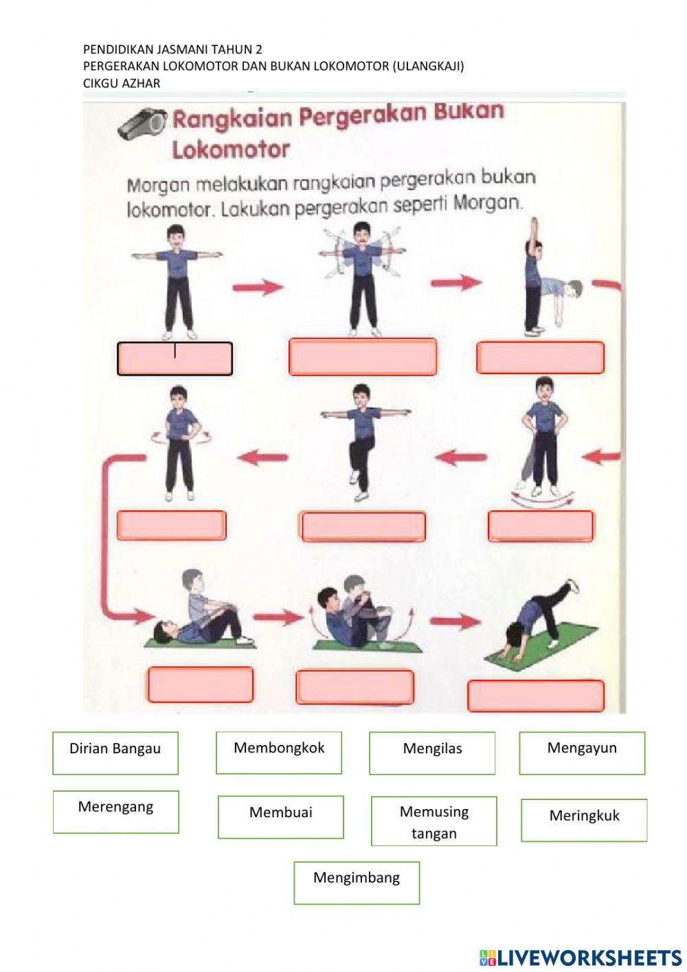 Pergerakan lokomotor dan bukan lokomotor