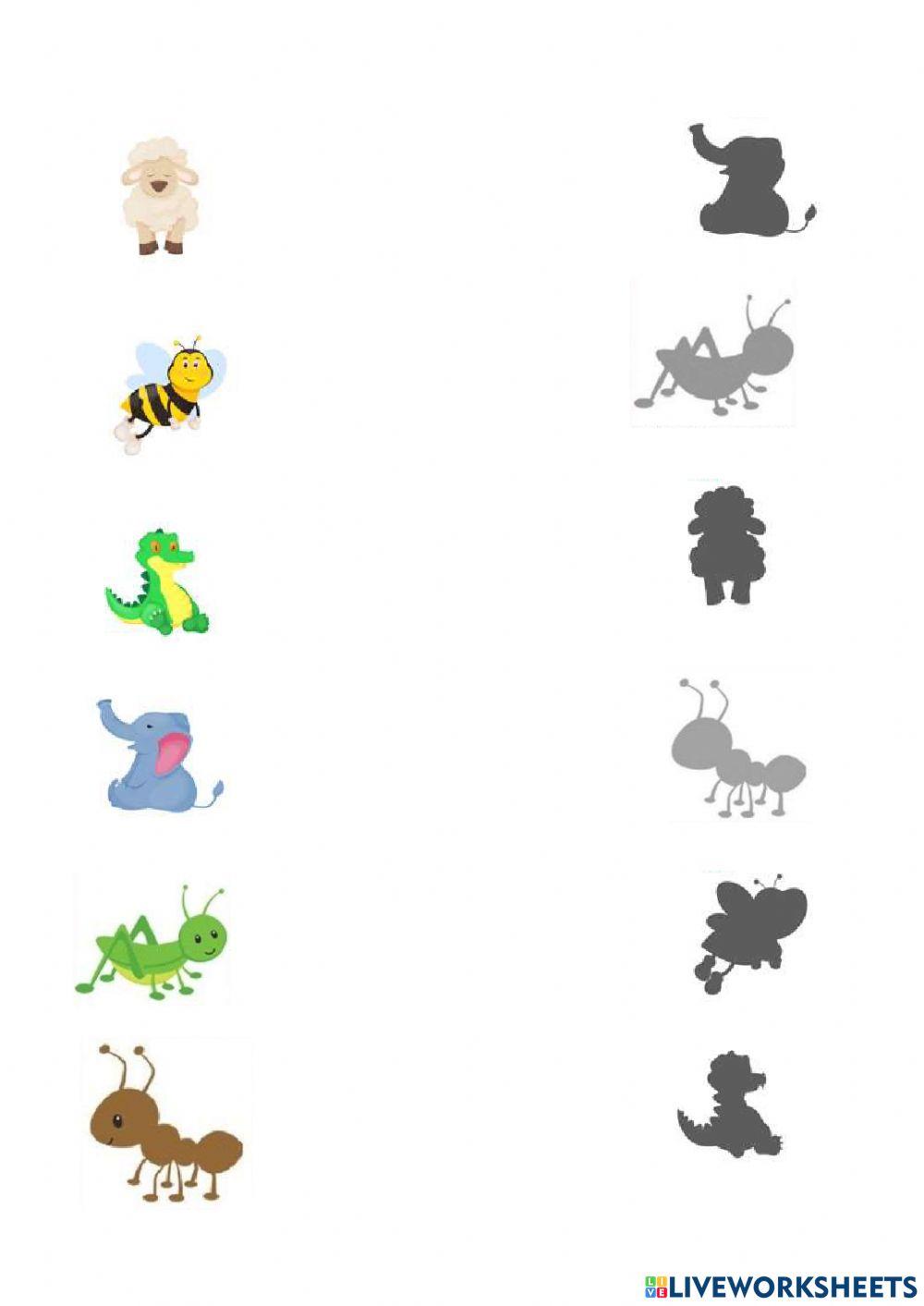 Relacionar animales con su sombra